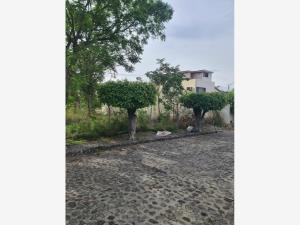 Terreno en venta en Las Palmas, Cuernavaca — foto 3 de 8