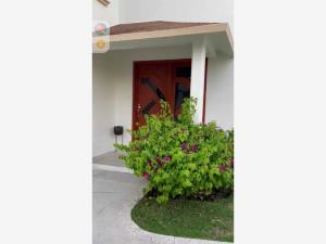 Casa en renta en Rincón del Conchal, Alvarado — foto 3 de 14