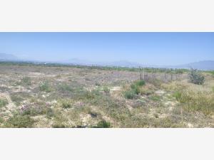 Terreno en venta en Server Industrial Park, Arteaga — foto 3 de 4