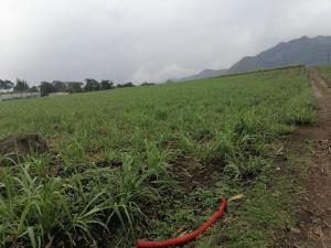 Terreno en venta en La Luz y Trinidad Palotal, Córdoba — foto 2 de 4