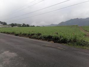 Terreno en venta en La Luz y Trinidad Palotal, Córdoba — foto 3 de 4