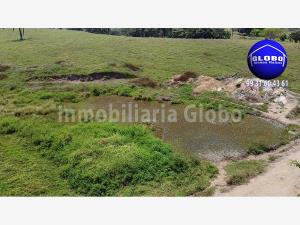 Finca-Rancho en venta en Ignacio Zaragoza, Reforma — foto 3 de 17
