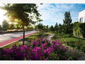 Terreno en venta en Altozano la Nueva Laguna, Gómez Palacio — foto 2 de 4