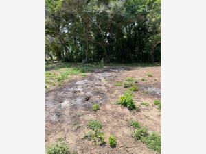 Terreno en venta en Miramar, Centla — foto 2 de 6