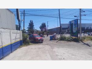 Bodega en renta en Los Sauces, Sahuayo — foto 3 de 7
