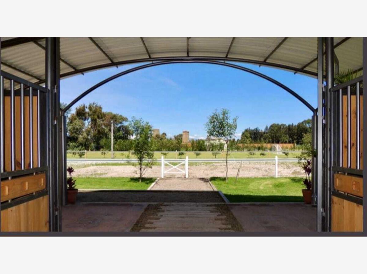 Terreno en venta en San Miguel Xoxtla, San Miguel Xoxtla — foto 1 de 15