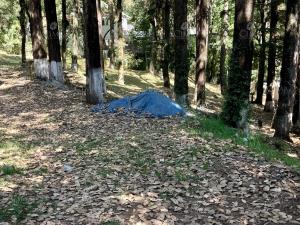 Terreno en venta en San José de La Montaña, Huitzilac — foto 2 de 13