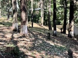 Terreno en venta en San José de La Montaña, Huitzilac — foto 3 de 13