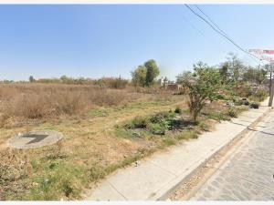 Terreno en venta en Coyula, Tonalá — foto 3 de 10