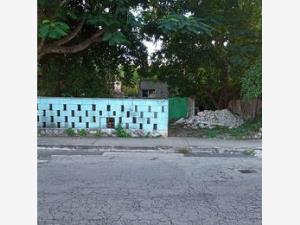 Terreno en San Jose Tecoh, Mérida, Yucatán