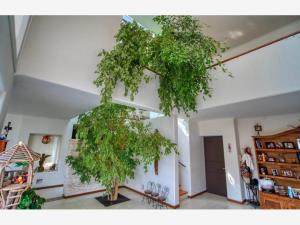 Casa en venta en Club de Golf el Cristo, Atlixco — foto 3 de 24