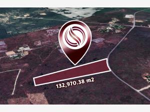 Terreno en venta en Valladolid Centro, Valladolid, Yucatán