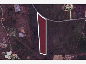 Terreno en venta en Valladolid Centro, Valladolid — foto 2 de 10