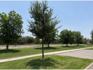 Terreno en venta en Las Villas, Torreón — foto 2 de 8