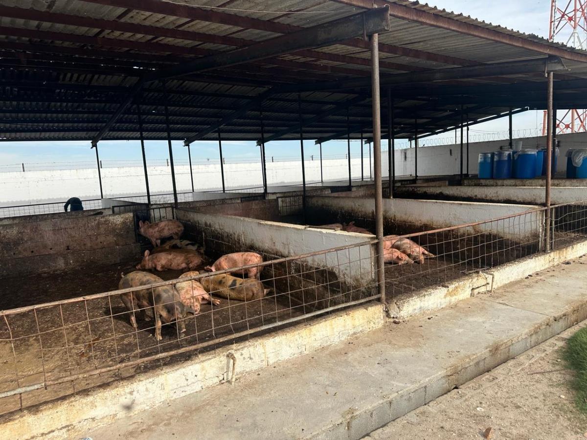 Terreno en Venta en Puente de la Torreña (El Capricho), Lerdo, Durango