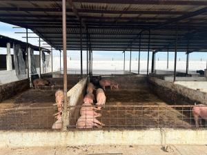Terreno en venta en Puente de la Torreña (El Capricho), Lerdo — foto 2 de 9