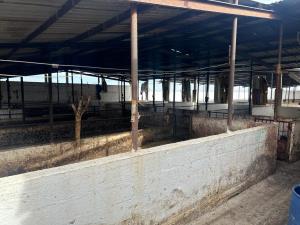 Terreno en venta en Puente de la Torreña (El Capricho), Lerdo — foto 3 de 9