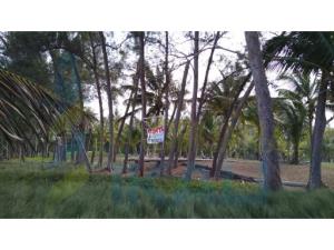 Terreno en venta en La Laja de Coloman, Tuxpan — foto 2 de 10