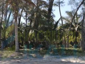 Terreno en venta en La Laja de Coloman, Tuxpan — foto 3 de 10