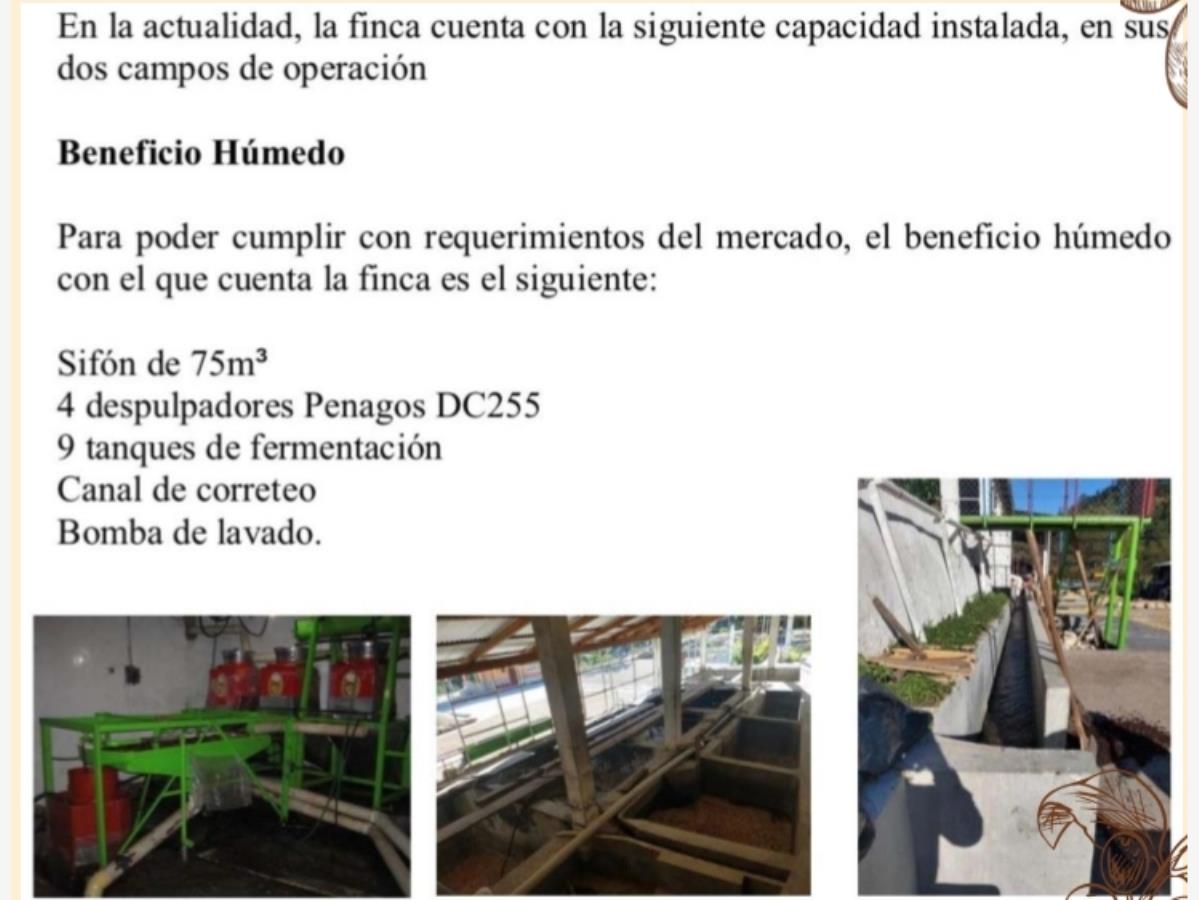 Finca-Rancho en venta en Emiliano Zapata, La Concordia — foto 1 de 7