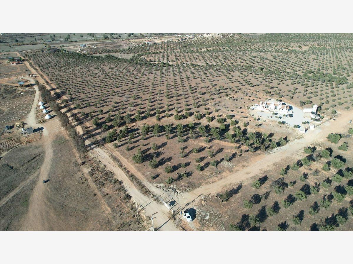 Terreno en venta en Francisco Zarco (Valle de Guadalupe), Ensenada — foto 1 de 25