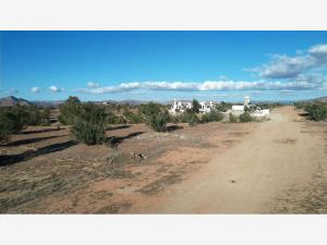 Terreno en venta en Francisco Zarco (Valle de Guadalupe), Ensenada — foto 3 de 25