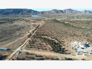 Terreno en venta en Francisco Zarco (Valle de Guadalupe), Ensenada — foto 2 de 25