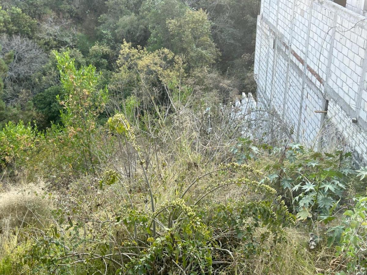Terreno en venta en Lomas de Tzompantle, Cuernavaca — foto 1 de 8