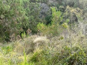 Terreno en venta en Lomas de Tzompantle, Cuernavaca — foto 2 de 8