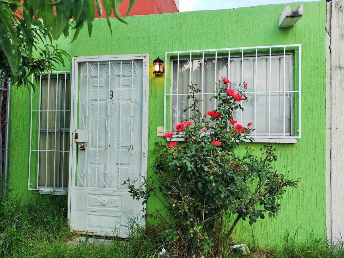 Imagen 1