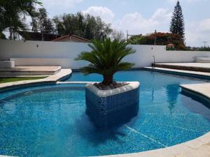 Casa en renta en Lomas de Cuernavaca, Temixco — foto 2 de 20