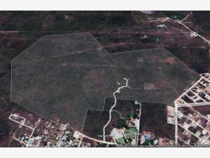 Terreno en venta en Valladolid Centro, Valladolid — foto 3 de 10