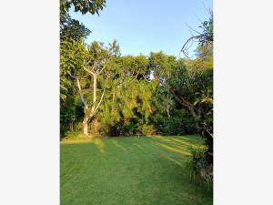 Terreno en venta en Acapatzingo, Cuernavaca — foto 2 de 8