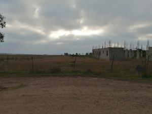Terreno en renta en Úrsulo Galván, Ensenada — foto 3 de 4