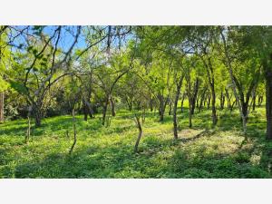 Terreno en venta en Lazarillos de Arriba, Allende — foto 2 de 7