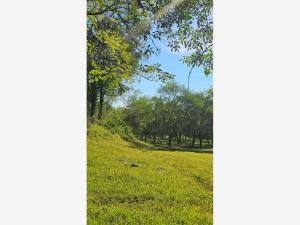 Terreno en venta en Lazarillos de Arriba, Allende — foto 3 de 7