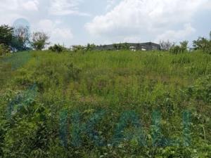 Terreno en venta en Loma Del Nanche, Paso de Ovejas — foto 3 de 5