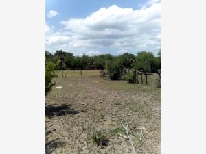 Terreno en venta en Ciudad Victoria Centro, Victoria — foto 3 de 7