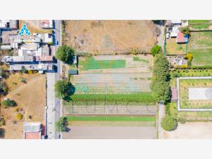 Terreno en remate en Cholula de Rivadabia Centro, San Pedro Cholula, Puebla