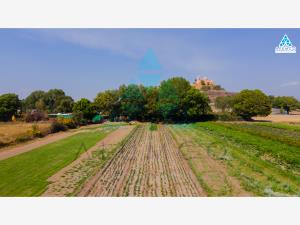 Terreno en venta en Cholula de Rivadabia Centro, San Pedro Cholula — foto 2 de 12