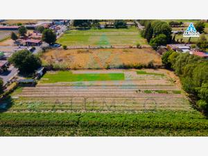 Terreno en venta en Cholula de Rivadabia Centro, San Pedro Cholula — foto 3 de 12