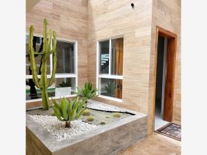 Casa en venta en Real del Mar, Tijuana — foto 2 de 21