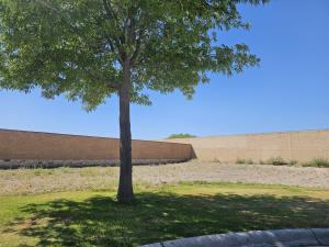 Terreno en venta en Las Villas, Torreón — foto 3 de 14