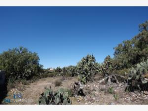 Terreno en venta en San Juan Tepemazalco, Zempoala — foto 3 de 8