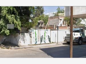 Terreno en venta en Rioverde Centro, Rioverde — foto 3 de 12