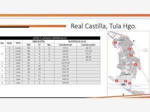 Terreno en venta en Real Castilla, Atotonilco de Tula — foto 3 de 11