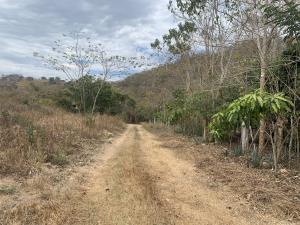 Terreno en venta en Emiliano Zapata, Tuxtla Gutiérrez — foto 3 de 16