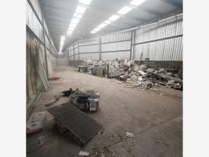 Bodega en renta en Enrique C Rebsamen, Veracruz — foto 3 de 5
