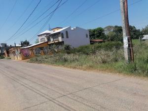 Terreno en venta en La Lima, Centro — foto 2 de 5