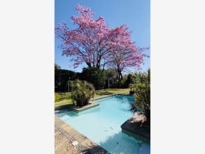 Casa en venta en San Jerónimo, Cuernavaca — foto 3 de 51
